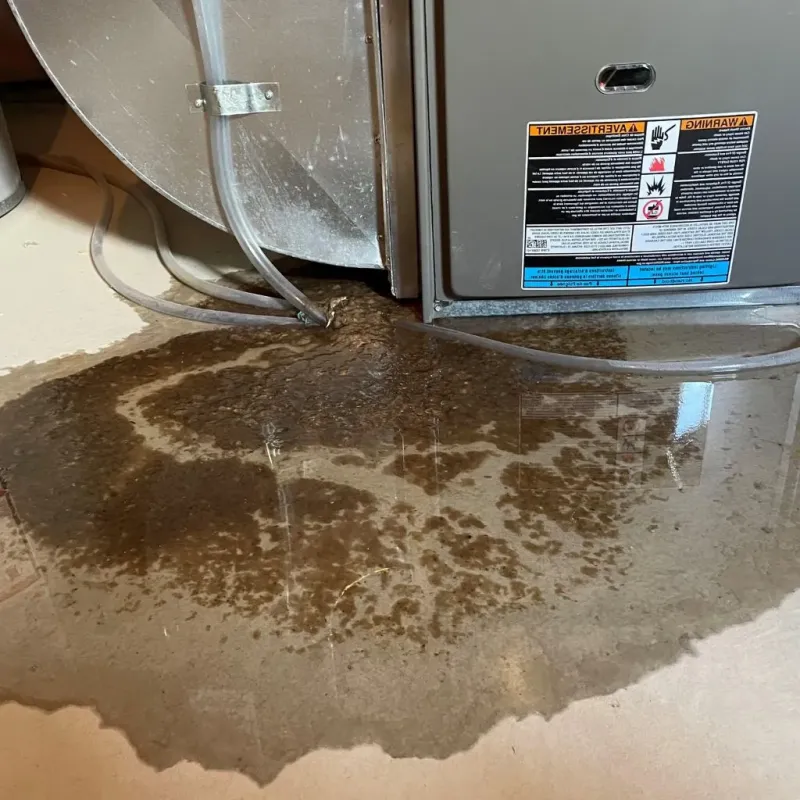 Pipe Burst and Leak Restoration in Kellyville, OK